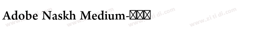 Adobe Naskh Medium字体转换
